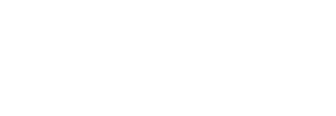 light logo
