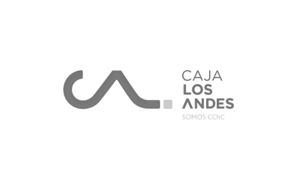 Caja los Andes Gris