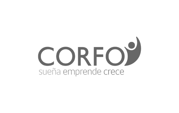 Corfo Gris