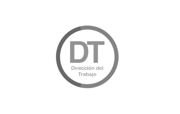 Dirección Trabajo Gris