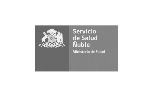 Servicio de Salud Ñuble Gris