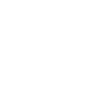 Icon report