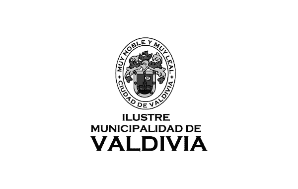 Valdivia Gris