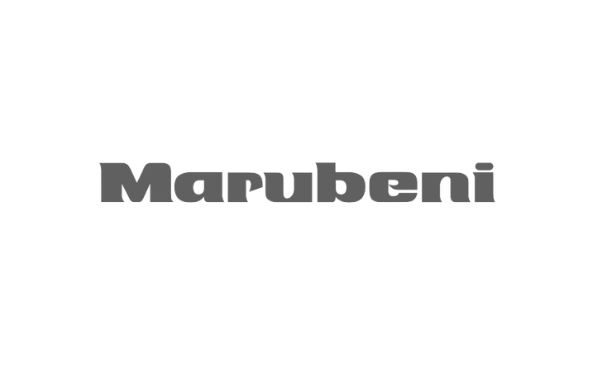 Marubeni Gris