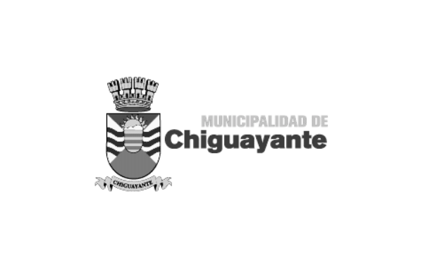Municipalidad de Chiguayante Gris
