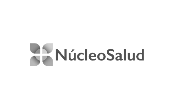 Núcleo Salud Gris